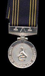 The Medal of Long Service